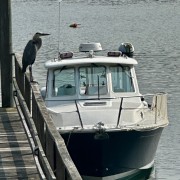2007 Back Cove 29