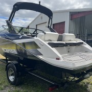 2017 Scarab 215 HO